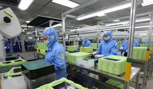 東莞封裝廠斷供，荷蘭急求合作解禁